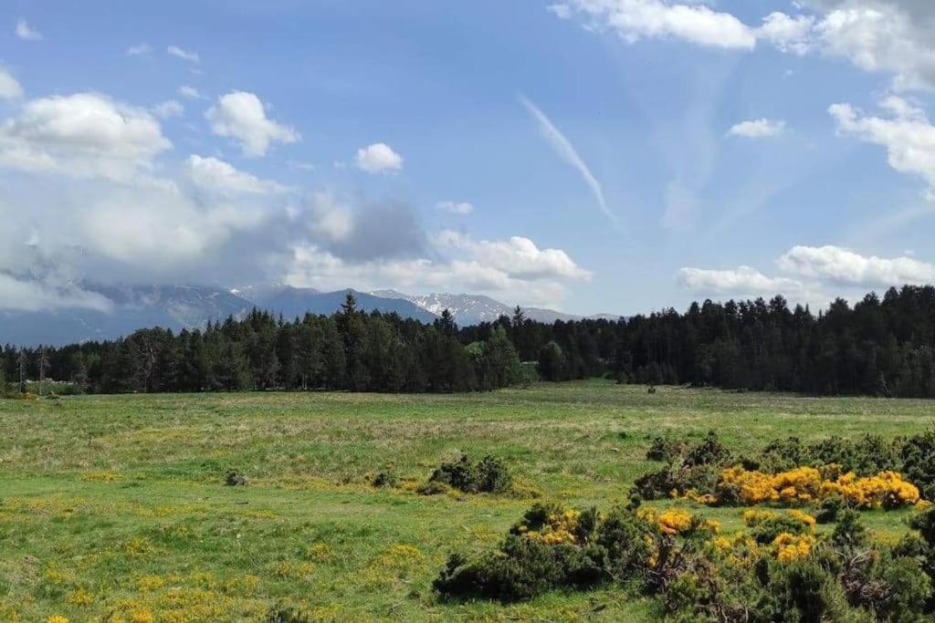 Apt Confortable Au Pied Des Pistes Et De La Foret Bolquere Pyrenees 2000 Екстериор снимка
